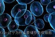 辽宁为什么要储存免疫细胞