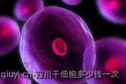 四川干细胞多少钱一次