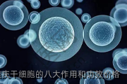 重庆干细胞的八大作用和功效价格