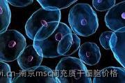 南京msc间充质干细胞价格