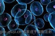 石家庄干细胞注射