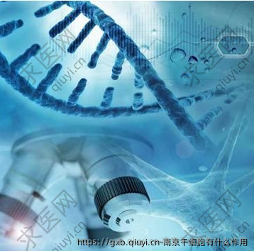 南京干细胞有什么作用