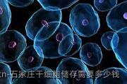石家庄干细胞储存需要多少钱