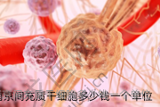 南京间充质干细胞多少钱一个单位