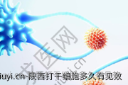 陕西打干细胞多久有见效