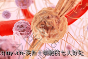 陕西干细胞的七大好处