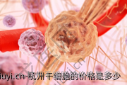 杭州干细胞的价格是多少