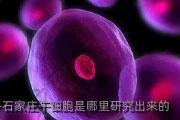 石家庄干细胞是哪里研究出来的