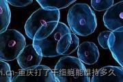 重庆打了干细胞能维持多久