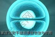 石家庄注射干细胞美容功效与作用