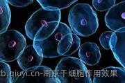 南京干细胞作用效果