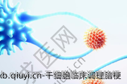 干细胞临床调理脑梗