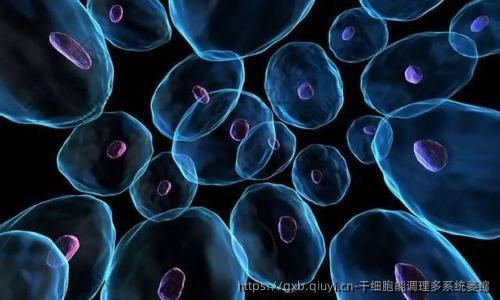 干细胞能调理多系统萎缩