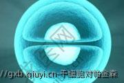 干细胞对帕金森