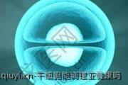 干细胞能调理亚健康吗