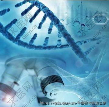 干细胞丰胸怎么做
