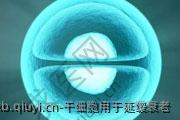 干细胞用于延缓衰老