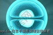 日本干细胞调理延缓衰老