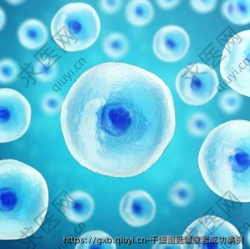 干细胞延缓衰老成功案例