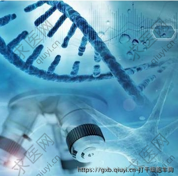 打干细胞丰胸