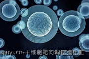 干细胞靶向调理脑出血