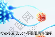 丰胸血液干细胞
