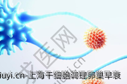 上海干细胞调理卵巢早衰