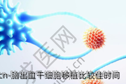 脑出血干细胞移植比较佳时间