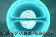 无精症干细胞造精子
