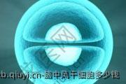 脑中风干细胞多少钱