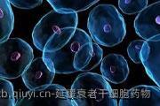 延缓衰老干细胞药物