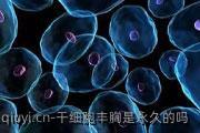 干细胞丰胸是长久的吗