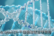干细胞调理脑梗费用
