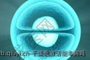 干细胞激活能丰胸吗