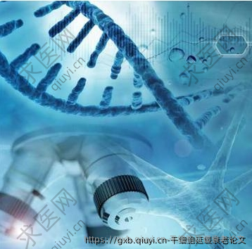 干细胞延缓衰老论文