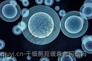 干细胞延缓衰老可信吗