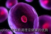 干细胞调理亚健康的优势