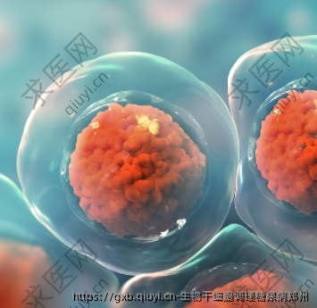 生物干细胞调理糖尿病郑州